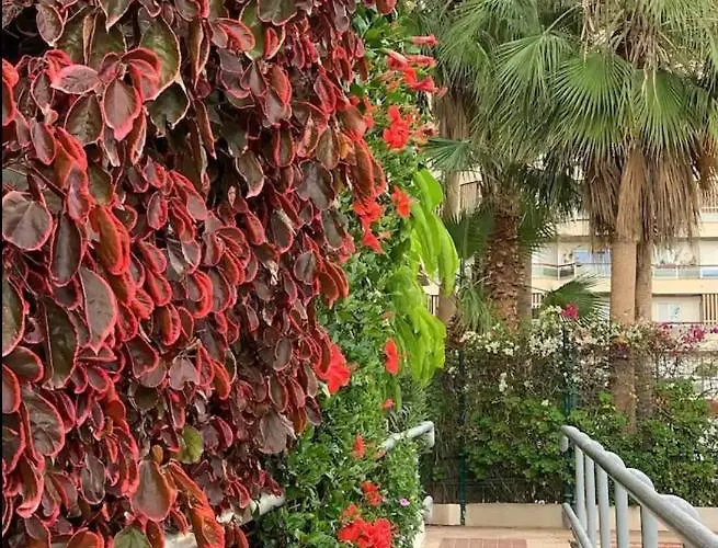 Casa Eneri Διαμέρισμα