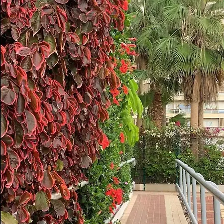 Casa Eneri Apartment
